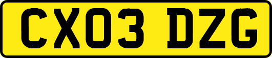 CX03DZG