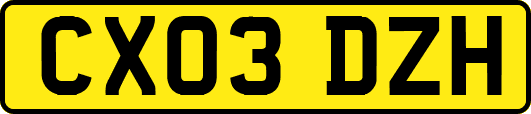 CX03DZH