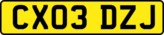 CX03DZJ