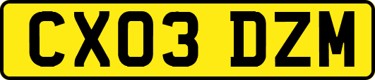 CX03DZM
