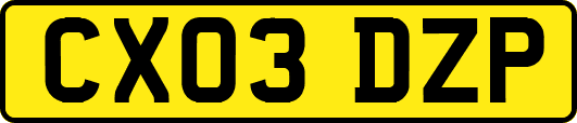 CX03DZP