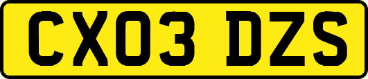 CX03DZS