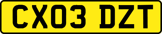 CX03DZT