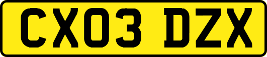 CX03DZX