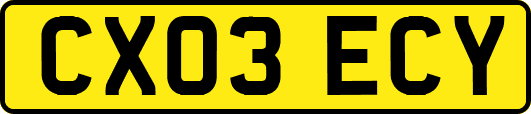 CX03ECY