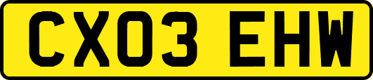 CX03EHW