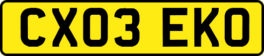CX03EKO