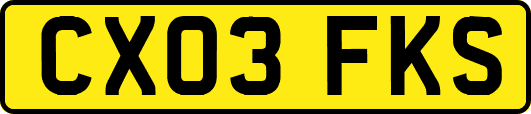 CX03FKS