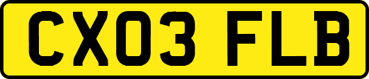 CX03FLB
