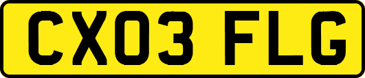 CX03FLG