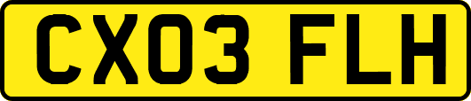 CX03FLH