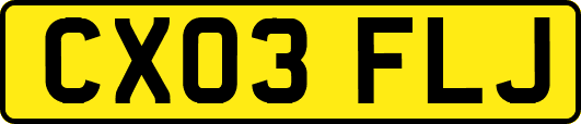 CX03FLJ