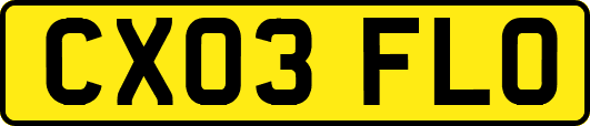 CX03FLO