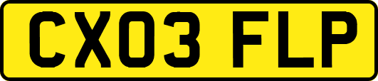 CX03FLP