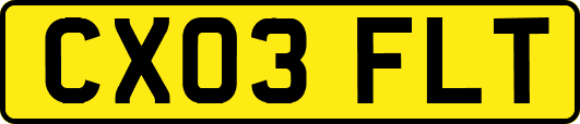 CX03FLT