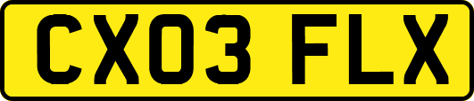 CX03FLX