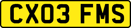 CX03FMS