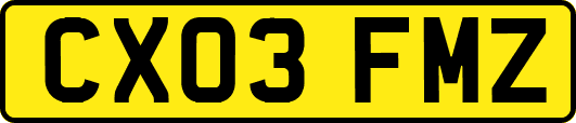 CX03FMZ