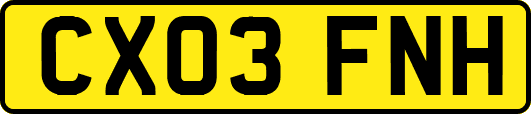 CX03FNH