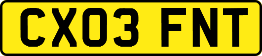 CX03FNT