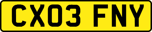 CX03FNY