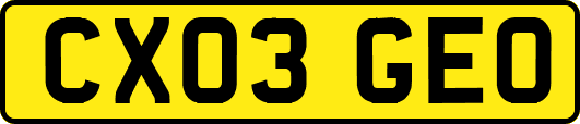 CX03GEO