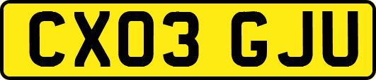 CX03GJU