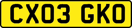 CX03GKO