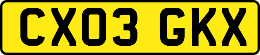 CX03GKX