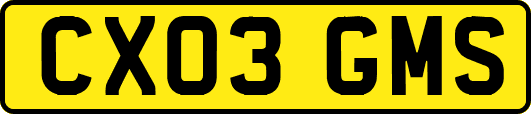 CX03GMS