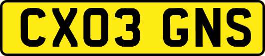 CX03GNS