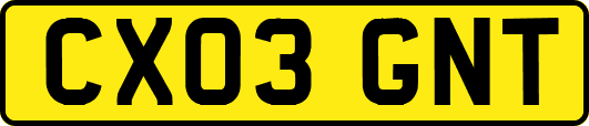 CX03GNT