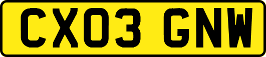CX03GNW