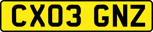 CX03GNZ