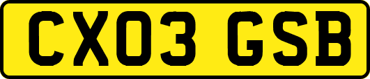 CX03GSB