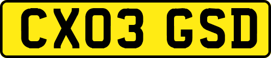 CX03GSD