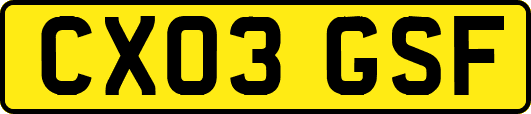 CX03GSF