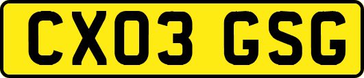 CX03GSG