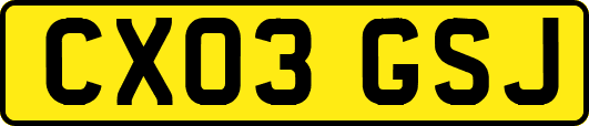 CX03GSJ