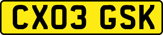 CX03GSK