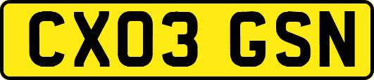 CX03GSN