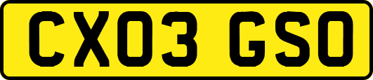 CX03GSO