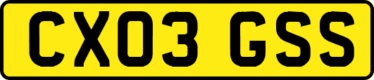 CX03GSS