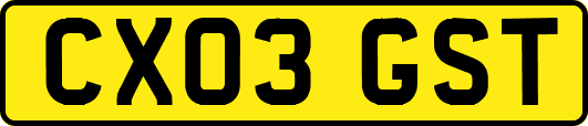 CX03GST