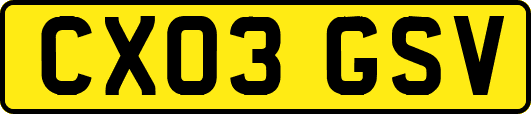 CX03GSV