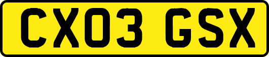 CX03GSX