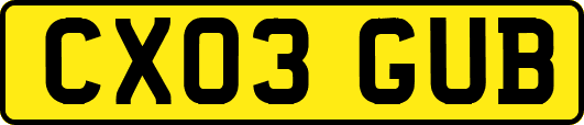 CX03GUB