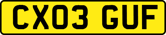 CX03GUF