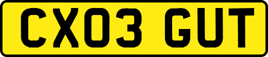 CX03GUT