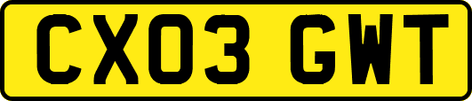 CX03GWT